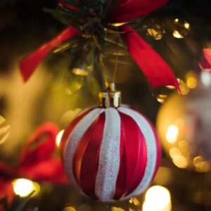 Artículos Navideños
